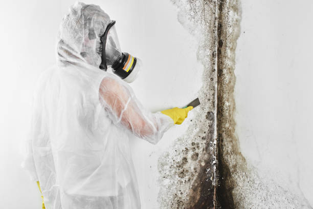 Water Damage Restoration in West Hills, PA