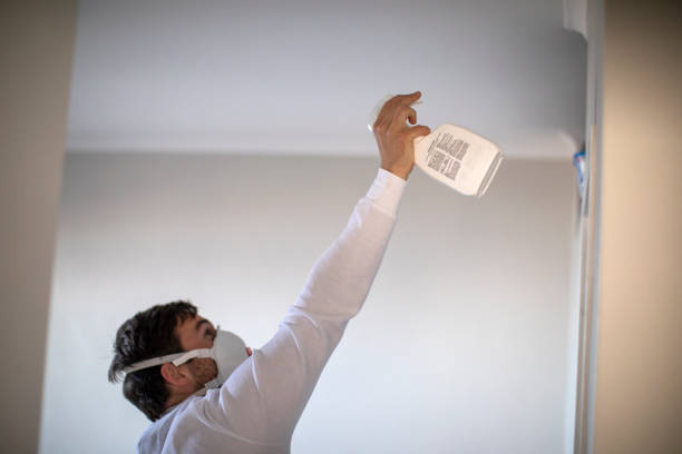 Mold Testing and Removal in West Hills, PA