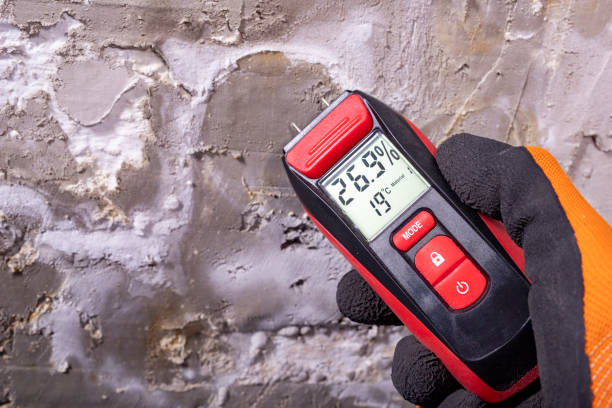 Best Toxic Mold Removal  in West Hills, PA