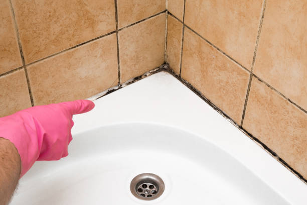 Best Attic Mold Removal  in West Hills, PA